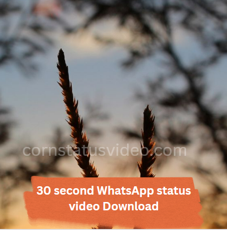 30 second whatsapp status video download