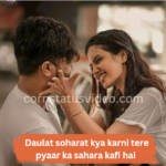 Daulat Sohrat Kya Karni Song Status Video Download