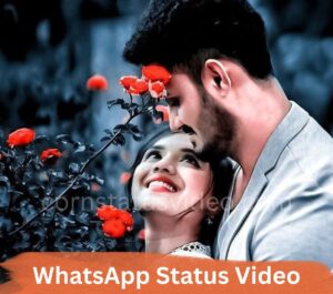 WhatsApp Status Video Download