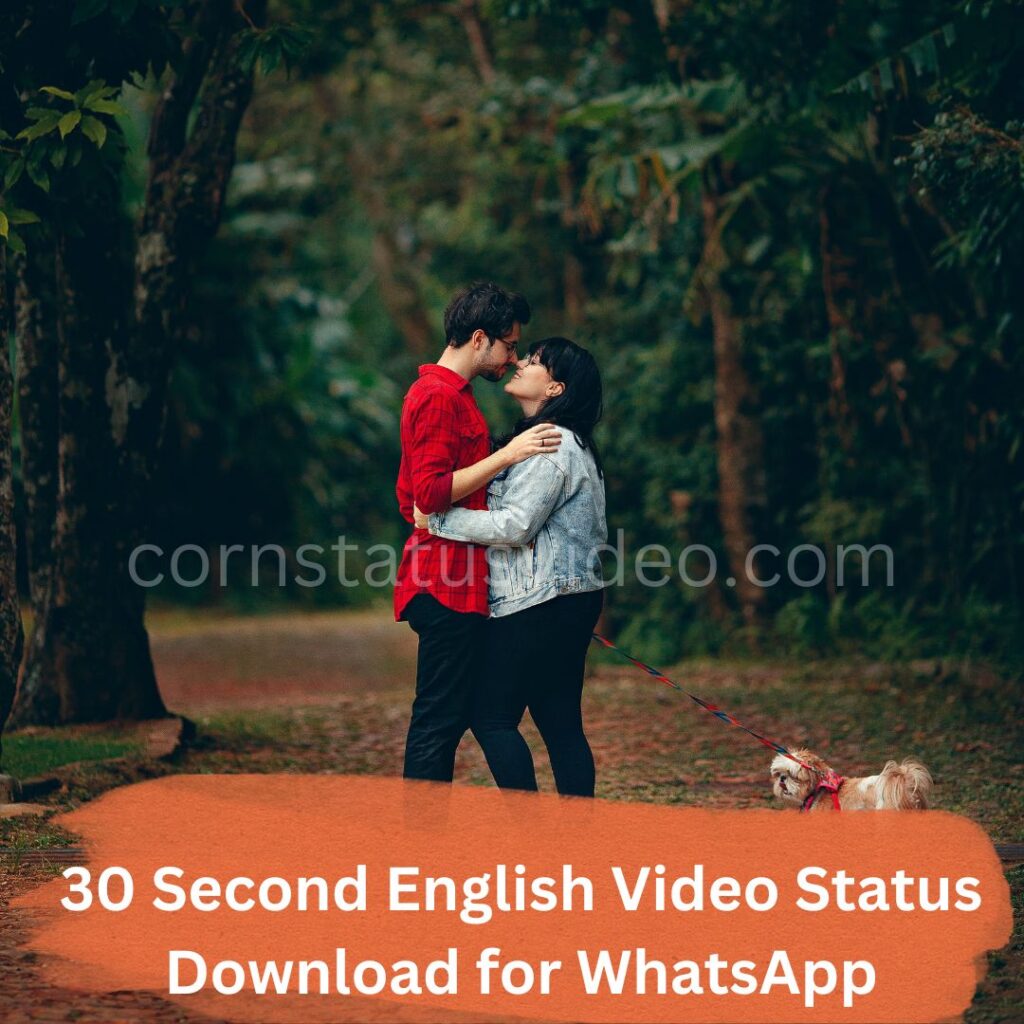 30 Second English Video Status Download for WhatsApp Love - Corn ...