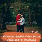 30 Second English Video Status Download