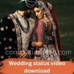 Wedding status video download