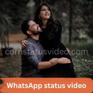 WhatsApp status video