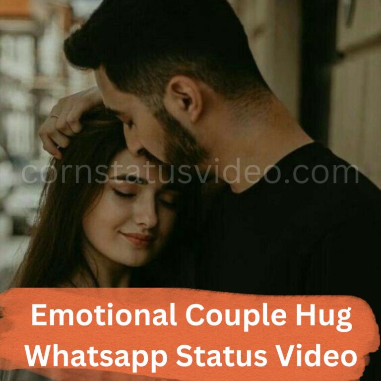 Emotional Couple Hug Whatsapp Status Video