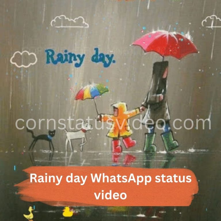 Rainy Day WhatsApp status video