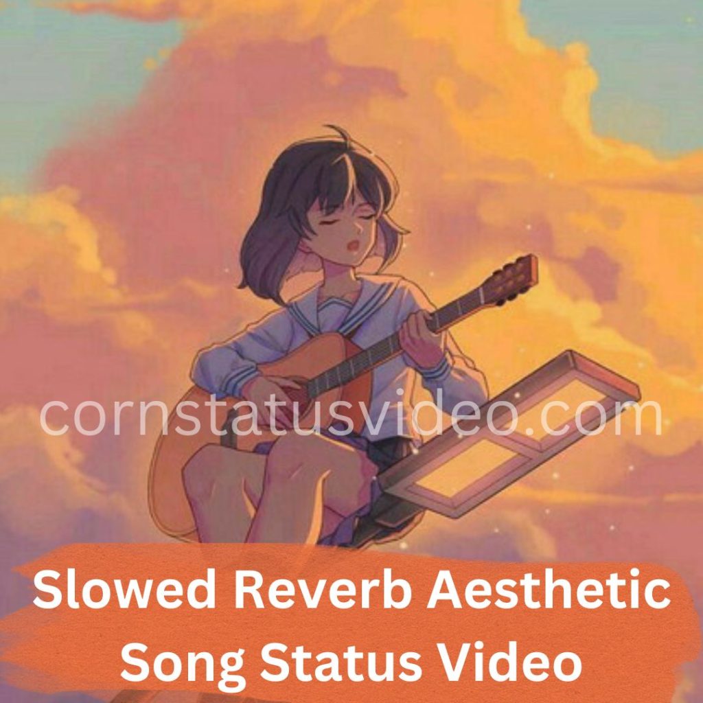 Slowed Reverb Aesthetic Song Status Video
