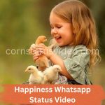Happiness Whatsapp Status Video